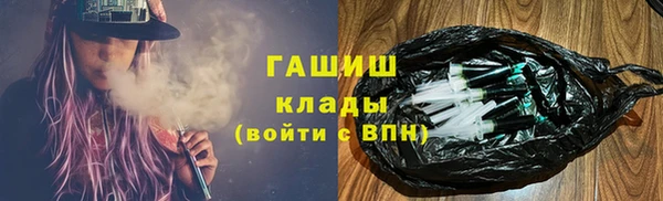 прущие грибы Гусев