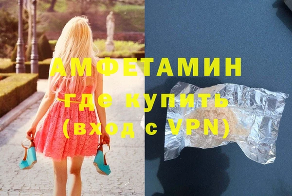 прущие грибы Гусев