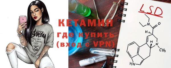 прущие грибы Гусев