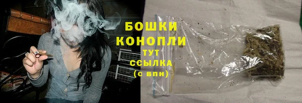 прущие грибы Гусев