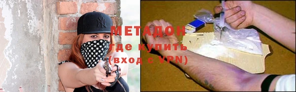 прущие грибы Гусев