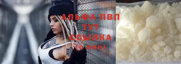 прущие грибы Гусев