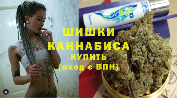 apvp Гусь-Хрустальный