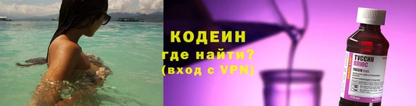 прущие грибы Гусев