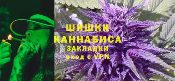 прущие грибы Гусев