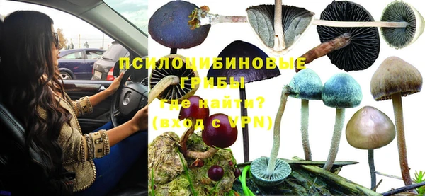 apvp Гусь-Хрустальный