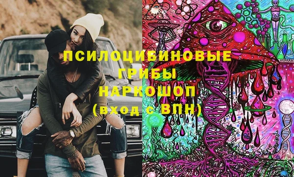 прущие грибы Гусев