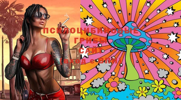 гашик Гусиноозёрск