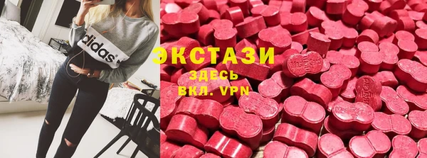 прущие грибы Гусев