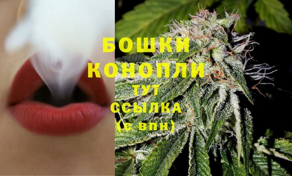 гашик Гусиноозёрск