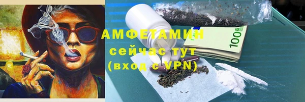 прущие грибы Гусев