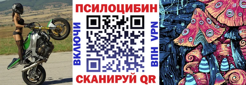 Галлюциногенные грибы мицелий  Шебекино 
