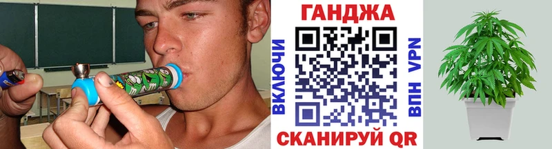 Канабис гибрид  Шебекино 
